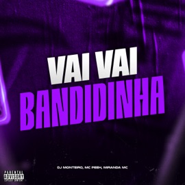 Vai Vai Bandidinha MC Peeh & Miranda MC