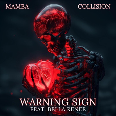 Warning Sign - Single