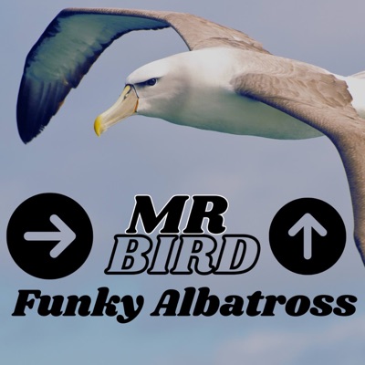 Funky Albatross - Single