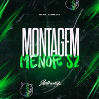 Montagem Menor Sz (feat. MC GW) - Single - DJ FMN 013