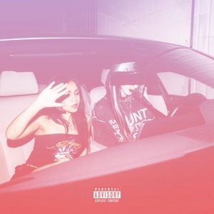 Faster N Harder - Single
