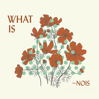 What Is ~Nois