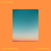 Lost Frequencies & David Kushner - In My Bones kunstwerk