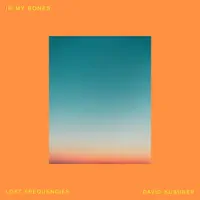 In My Bones — Lost Frequencies, David Kushner