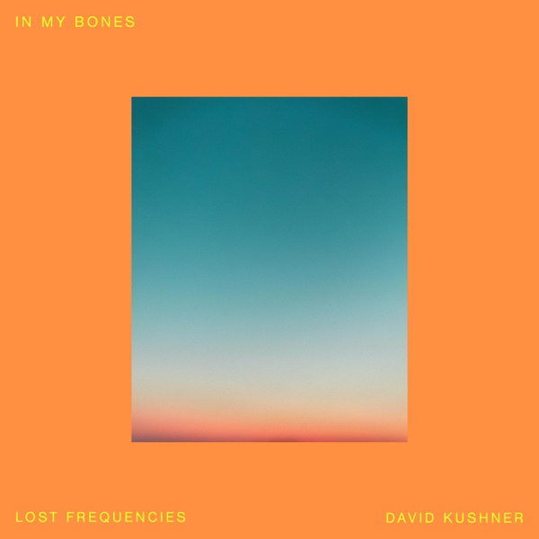 Lost Frequencies feat. David Kushner In My Bones