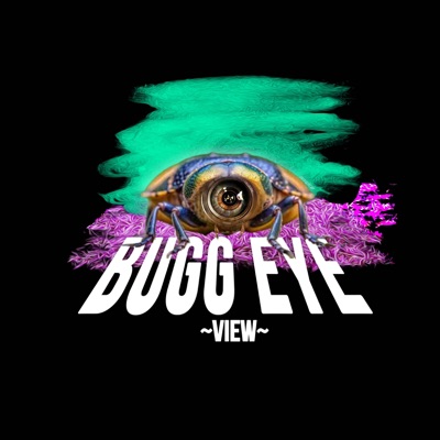 Bugg Eye View - EP