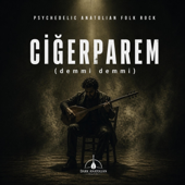 ciğerparem (demmi demmi)