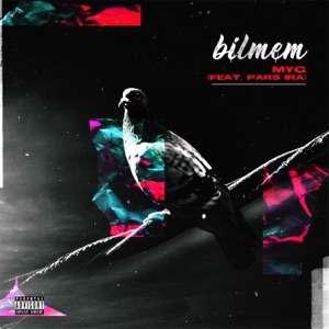 Bilmem (feat. Pars ıra) - Single