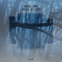 Speed of Light - Single - Indigo Man