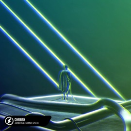 Cherish Jayanth Ak, Emvis & N.E.B.