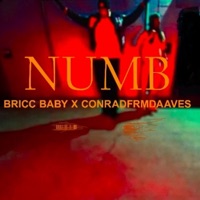 Numb (feat. Bricc Baby) - Single - Conradfrmdaaves