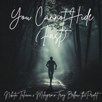 You Cannot Hide (Fast) (feat. Milagro & Troy Bellow the Profit) - Single - Nikita Taliana