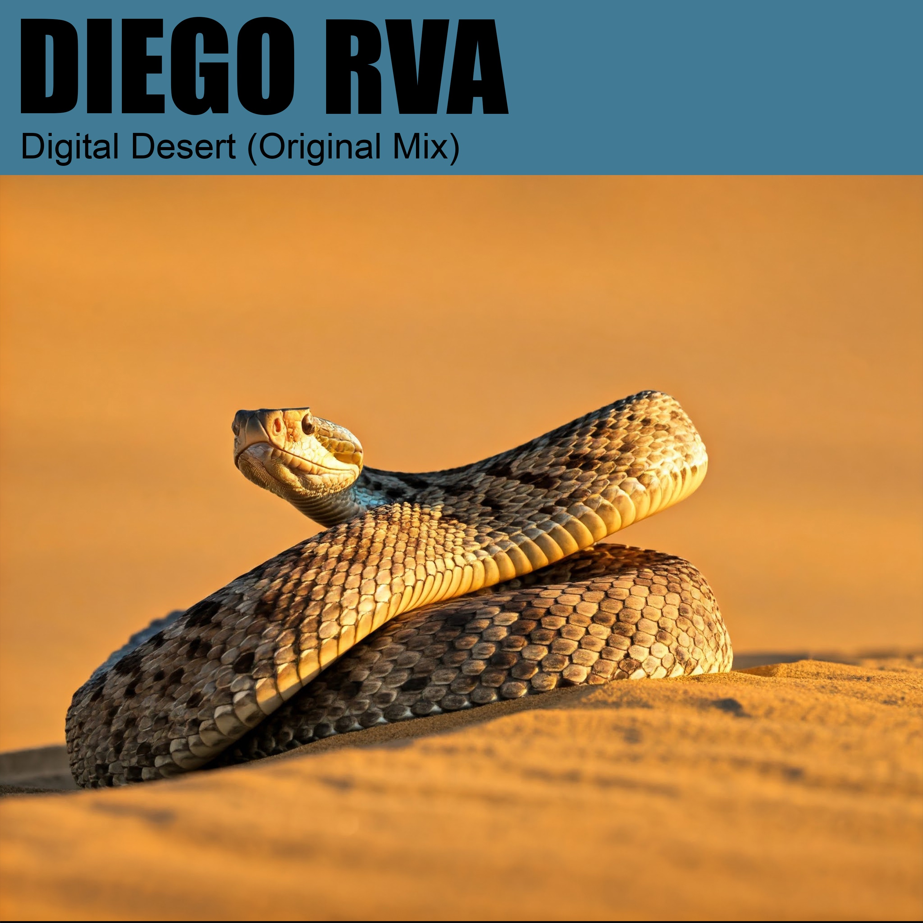 Digital Desert - Single