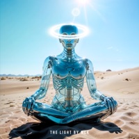 The Light - Single - Mck