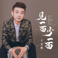 见一面少一面 - Single - 于金胜