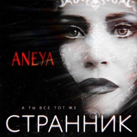А ты всё тот же странник - Single - ANEYA