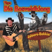 Jaloers Bokkie artwork