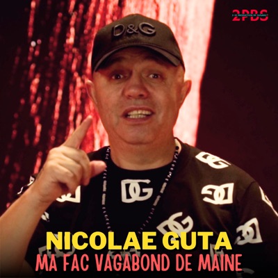Song - Ma fac vagabond de maine - Nicolae Guță