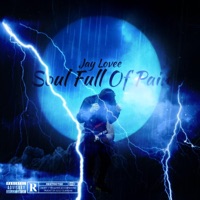 Soul Full Of Pain - Jay Lovee