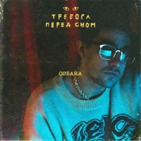 Собака - Single - Тревога перед сном