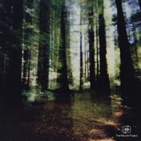 redwoods - Single - snailboat, Kanyun & The Retune Project