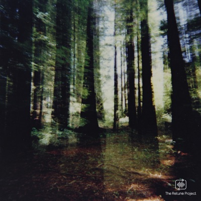 redwoods - Single