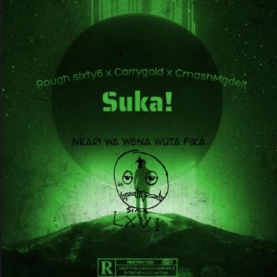 Suka! (feat. Carrygold & CmashMadeit) - Single