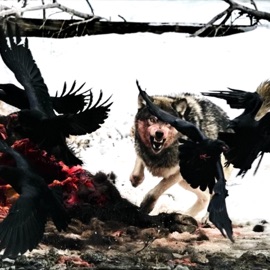 F-22 (feat. Kaptain Doa) June Boii & 404NR