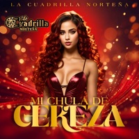 Mi Chula de Cereza - Single - La Cuadrilla Norteña