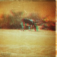 Септуагинта - РУКИ ПО ШВАМ!