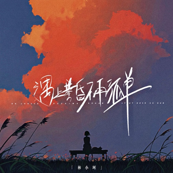 遇上黄昏不再孤单 - Single