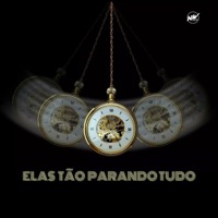 Elas Tão Parando Tudo - Single - Dj JR Oficial & DJ GUSTOMARES