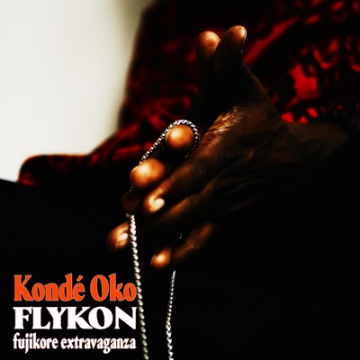 FLYKON: Fujikore Extravaganza