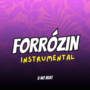 Forrózin Instrumental