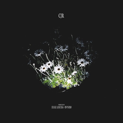 Special To Me - Single