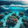 Like the Ocean - Single