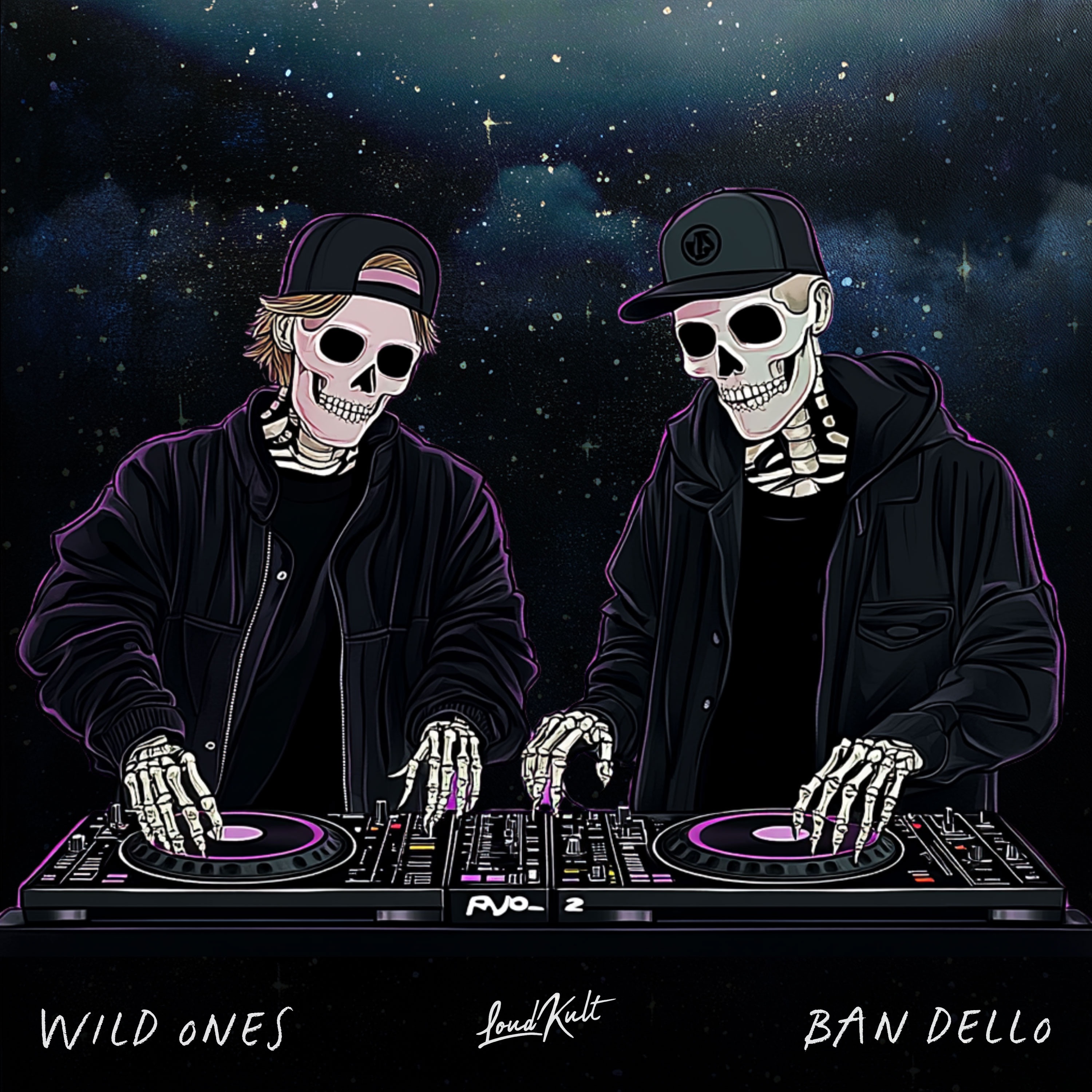 Wild Ones - Single