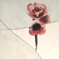 the unfolding rose {petal six} - aloisius