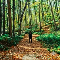 His Kaybı (feat. Emir Baytekin) - Single - Mücahit Yılmaz