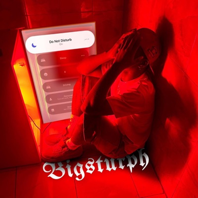 Do Not Disturb (Slowed and Reverb) - Single