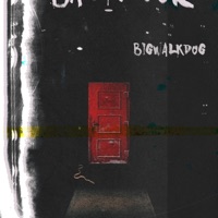 Backdoor - Single - BigWalkDog