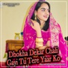 Dhokha Dekar Chali Gayi Tu Tere Yaar Ko - Single