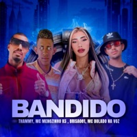 Bandido (feat. Thammy) - Single - Brisa081, Mc Bolado na Voz & MC menozinho ks