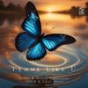 Femme Like U (feat. Hilola Samirazar & Umar Keyn) - Rodle & DNDM