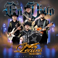Los Cachones - Single - Los Leales De Ocampo