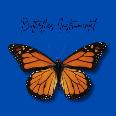 Butterflies (Instrumental) - Single