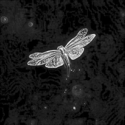 L'étang de la libellule - Single