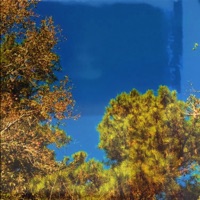 fed up (feat. sheku.) - Single - carr.