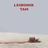 TAM