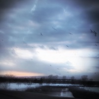 Useless - Single - HKFiftyOne